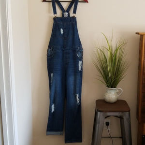 Roolee Distressed Denim Overalls